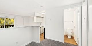 Driftwood Gallery 47