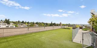 Ballard Public Gallery 35