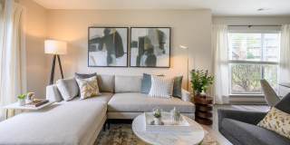 Ashford Green Gallery 6