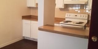 Forest Ridge Gallery 17