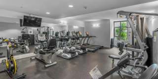 475 Redwood Street - 1201 Gallery 22