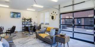 Thrive Argenta Gallery 55