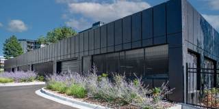 Vine at Panorama Gallery 22