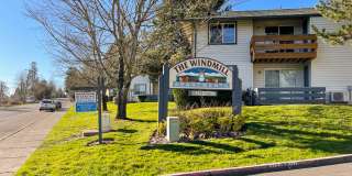Windmill Gallery 6