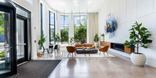 DVORA 372 9th Gallery 1