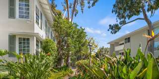 Sunset Barrington Gardens Gallery 11