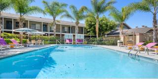 Point Bonita Gallery 1