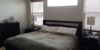 Gorgeous Broadlands home for rent. Gallery 7