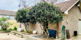 1300 WEBSTER Street Gallery 1