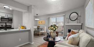The Dahlia Gallery 5