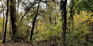B - The Glade Gallery 15