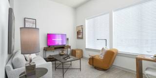 The Lucile Gallery 22