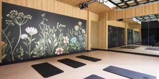 Reynard Gallery 72