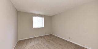 Noah's Landing Gallery 6