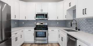 Palms Court Gallery 2