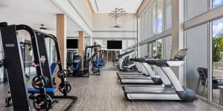 Avalon Fort Lauderdale Gallery 12