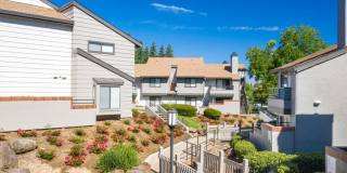 Somersett Hills Gallery 1