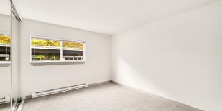 Driftwood Gallery 41