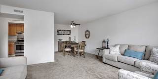 Mill Village Gallery 8