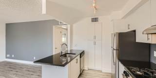 Rise Biltmore Gallery 39