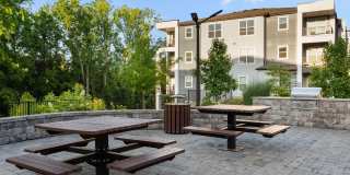 The Anson Gallery 22