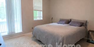 6011 Daffodil Drive Gallery 22