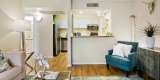 Domain 3201 Gallery 26