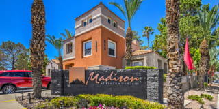 Madison at Black Mountain Gallery 12