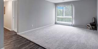 Rosehill Plaza Gallery 7