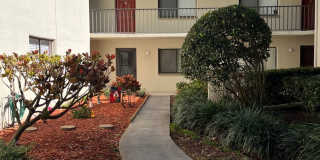 3300 Fox Chase Cir, #226, Palm Harbor, FL 34683 Gallery 1