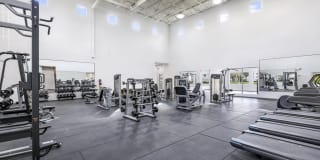 Palm Trace Landings Gallery 21