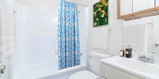 Southgate Manor Gallery 10