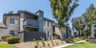 Hensley at Corona Pointe Gallery 35