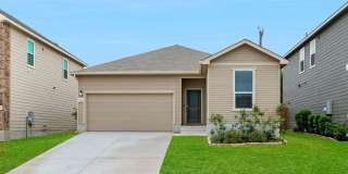 11502 Lemonmint Gallery 1