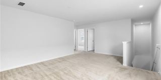 360 Paulownia Circle Gallery 22