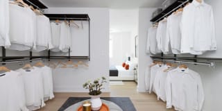 The Duchess Gallery 35