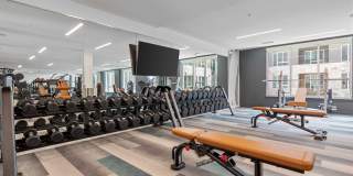 Legacy at Fitz Gallery 20