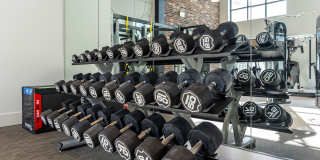 Alta Longwood Gallery 5