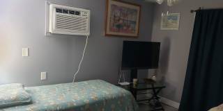 1389 Hibiscus St Gallery 8