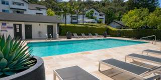 McInnis Park Gallery 19