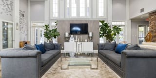 Park at Crossroads Gallery 12