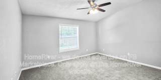 3119 Mango Tree Dr Gallery 9