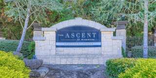 Ascent at Windward Gallery 17