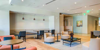 The Chestnut Gallery 20