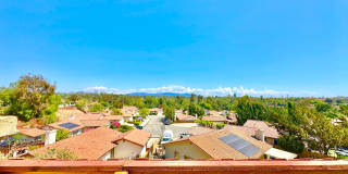 Lovely Single Story Home in Quiet Neighborhood of Fallbrook, Minutes to Everything! Gallery 20