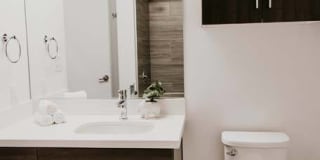 Tanager Tanager Gallery 73