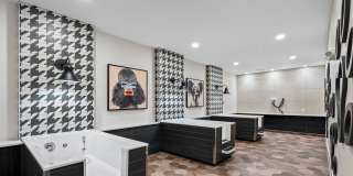 Bainbridge The Grand Gallery 10