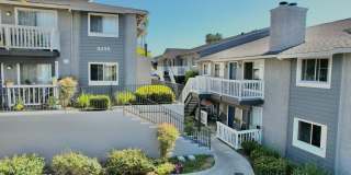 Hillside Terrace Gallery 19