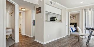 Glen at Highpoint Gallery 4