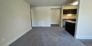 Northgate Gallery 159